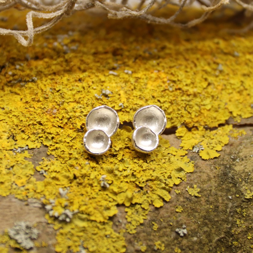 Little Twin Shells